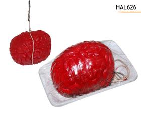 CERVEAU EN BARQUETTE 13CM*