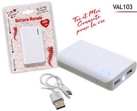 BATTERIE DE SECOURS 4000MAH*